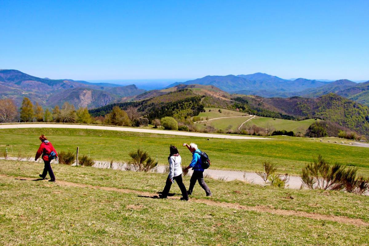 Naturaleza Y Aire Puro En El Pirineo Oriental En Una Bonita Casa Rural De Piedra Prats-de-Mollo-la-Preste Buitenkant foto