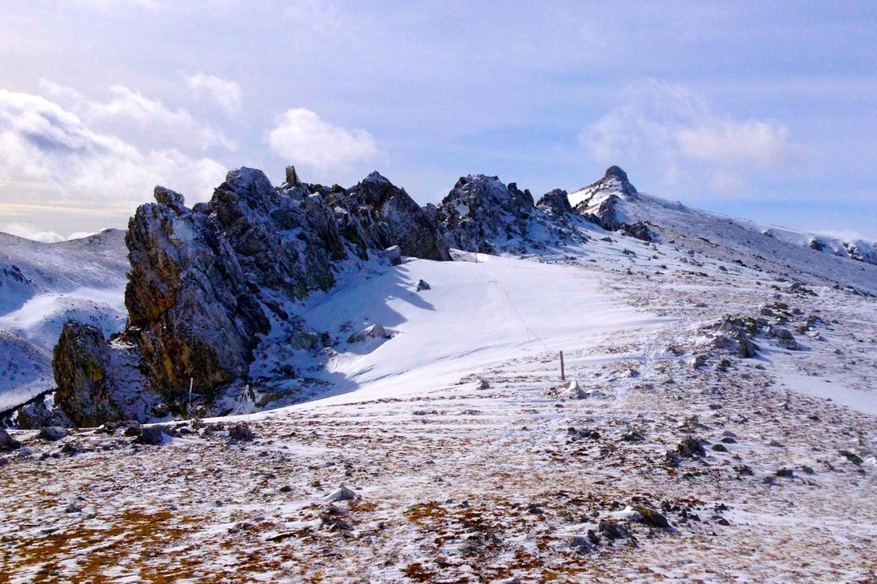 Naturaleza Y Aire Puro En El Pirineo Oriental En Una Bonita Casa Rural De Piedra Prats-de-Mollo-la-Preste Buitenkant foto