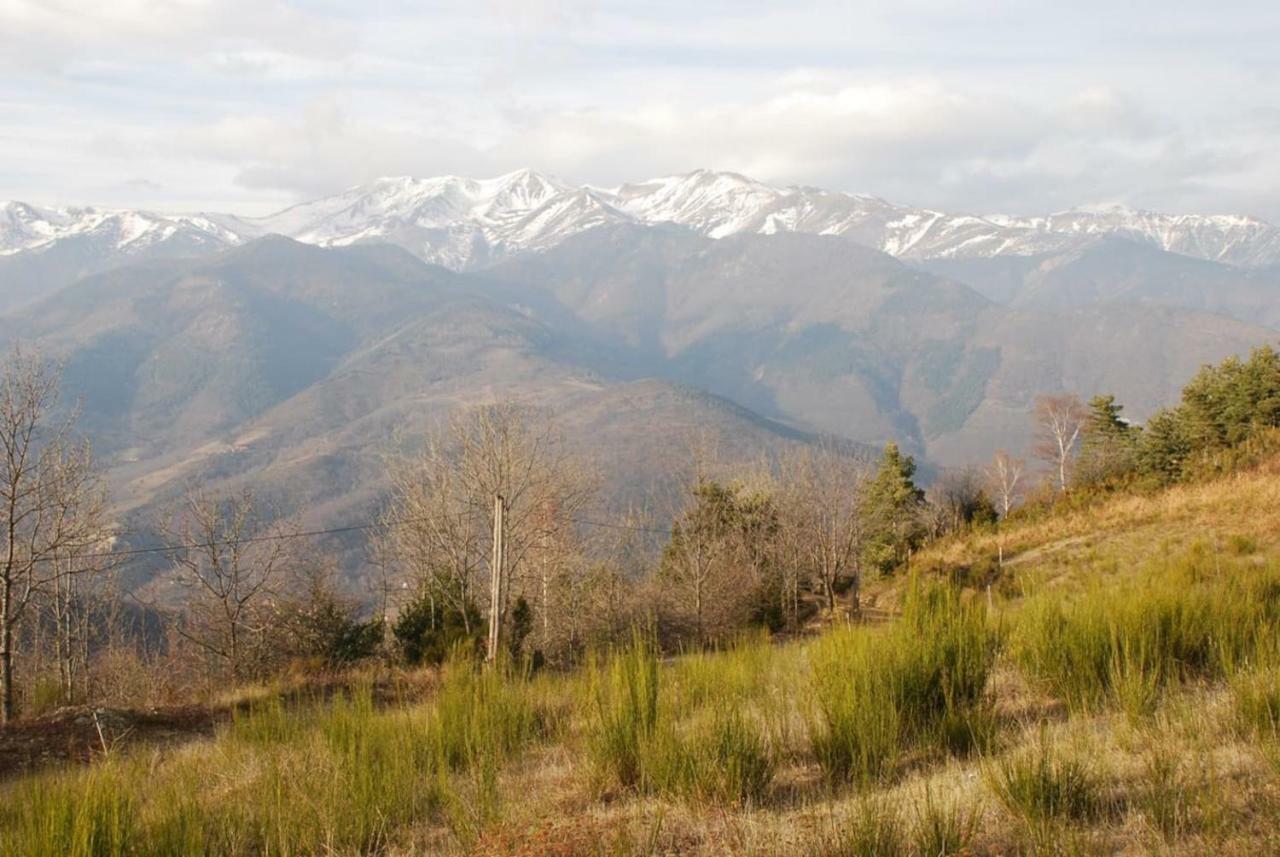 Naturaleza Y Aire Puro En El Pirineo Oriental En Una Bonita Casa Rural De Piedra Prats-de-Mollo-la-Preste Buitenkant foto